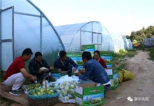 庆阳网红吃瓜事件