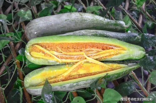 网红顾茜茜吃瓜图片,网红生活揭秘