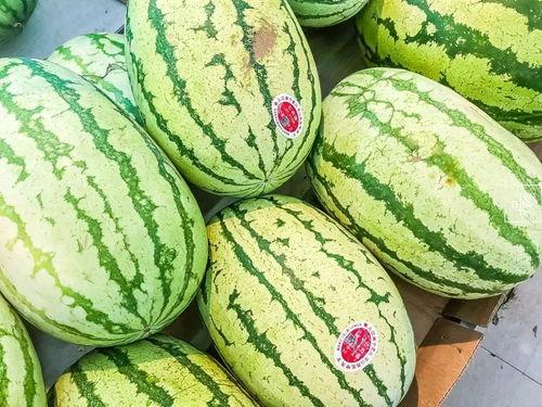 江阴网红吃瓜,揭秘网络红人的幕后故事